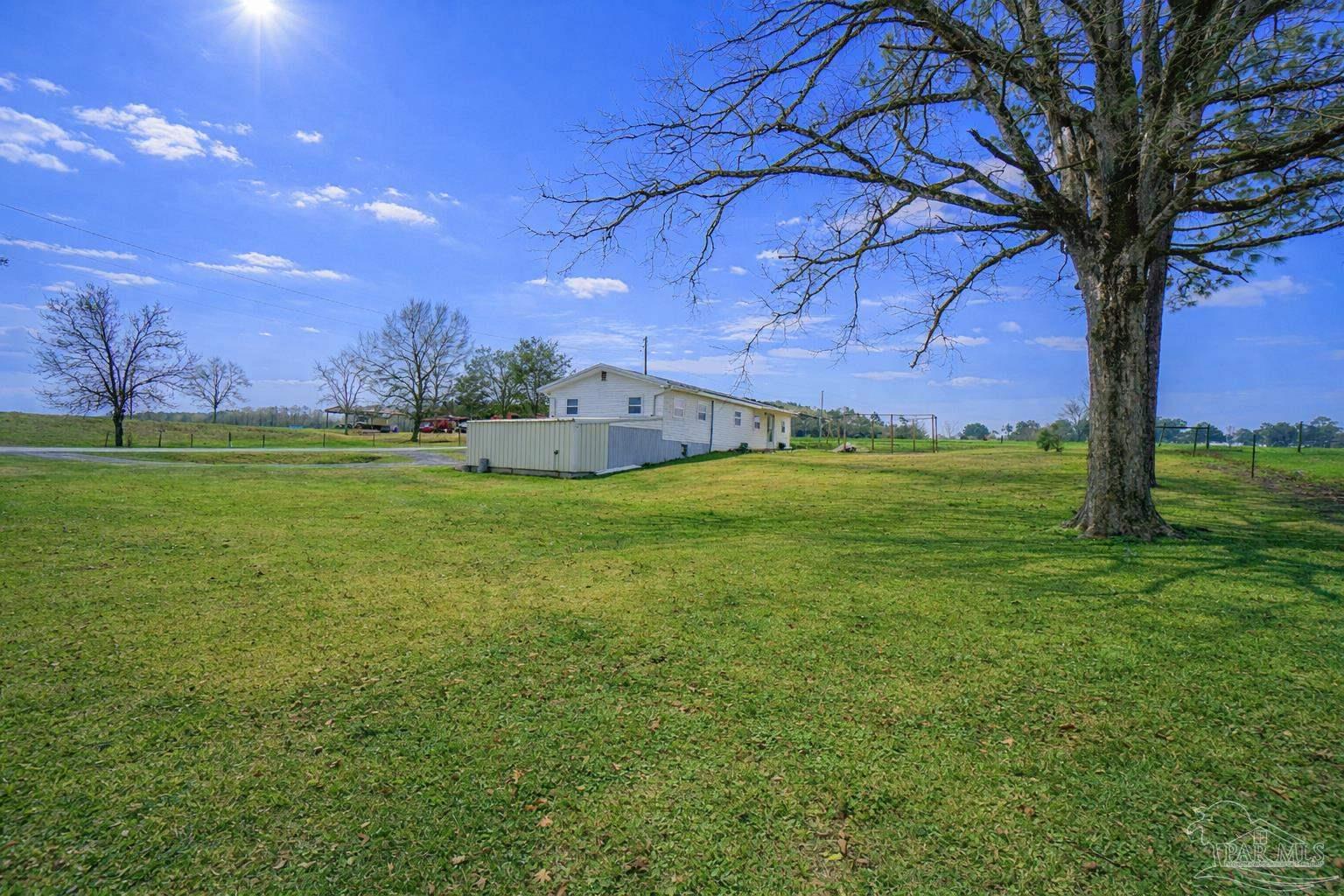 5731 Morgan Road Walnut Hill, FL 32568 - Photo 6 of 40