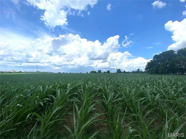 $540,330 | 0 Highway 51 Perryville Mo 63775, Perryville, MO 63775