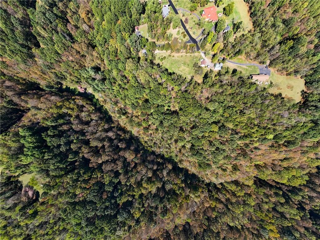 824 Magnus Lane Irwin, PA 15642 - Photo 40 of 40 a view of a tree