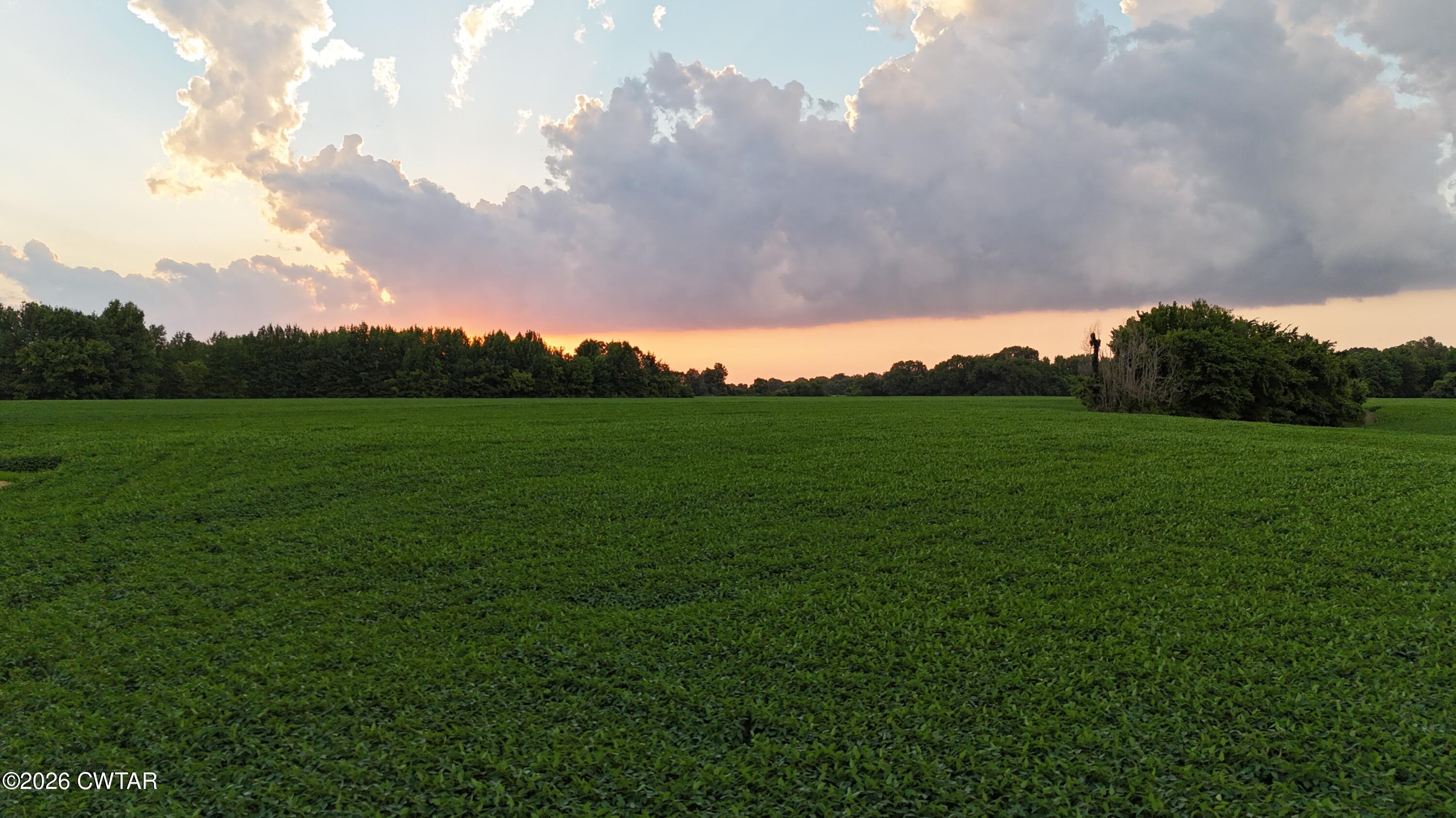 0 Cribbs Road Dyersburg, TN 38024 - Photo 5 of 10 dji_fly_20260701_200414_0954_17829567738
