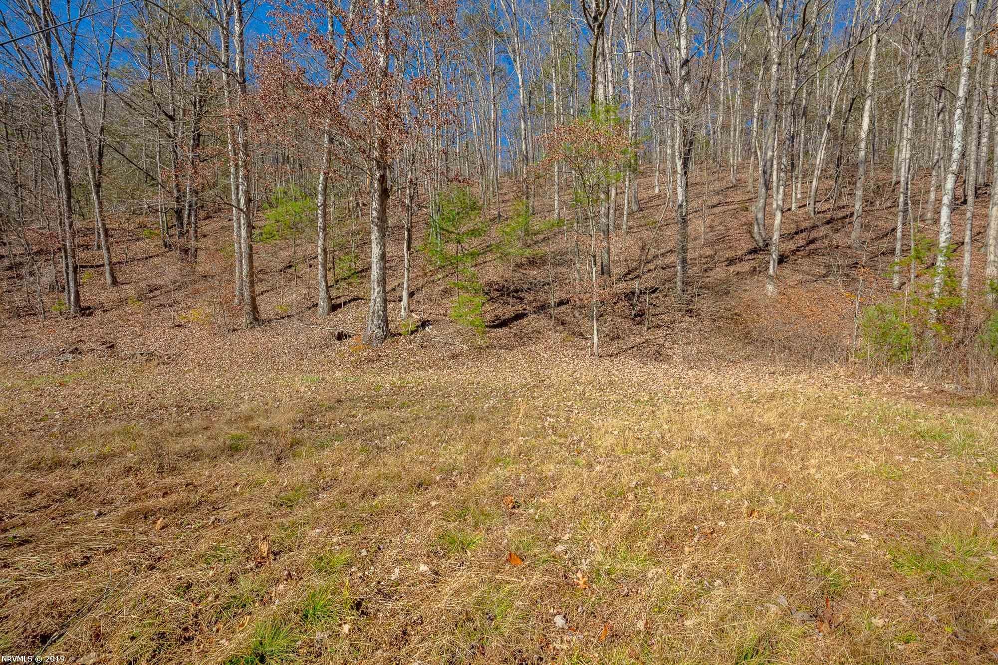 Tbd Mudlick Road Wytheville, VA 24382 - Photo 25 of 44 Gallery Image 25