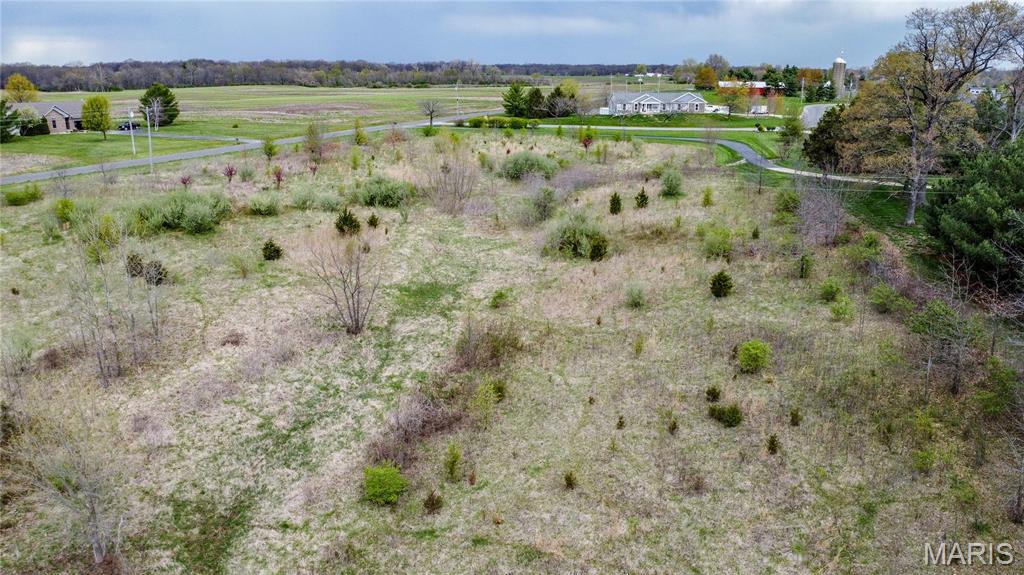 0 Lageman Lane Brighton, IL 62012 - Photo 12 of 12