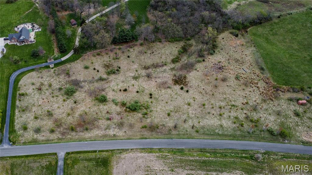 0 Lageman Lane Brighton, IL 62012 - Photo 4 of 12