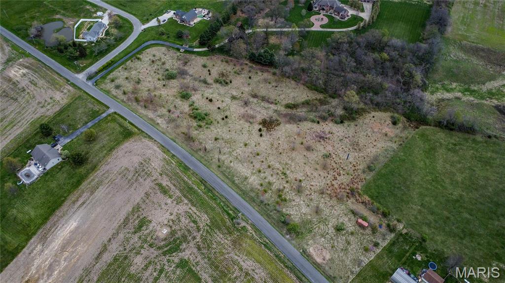 0 Lageman Lane Brighton, IL 62012 - Photo 5 of 12