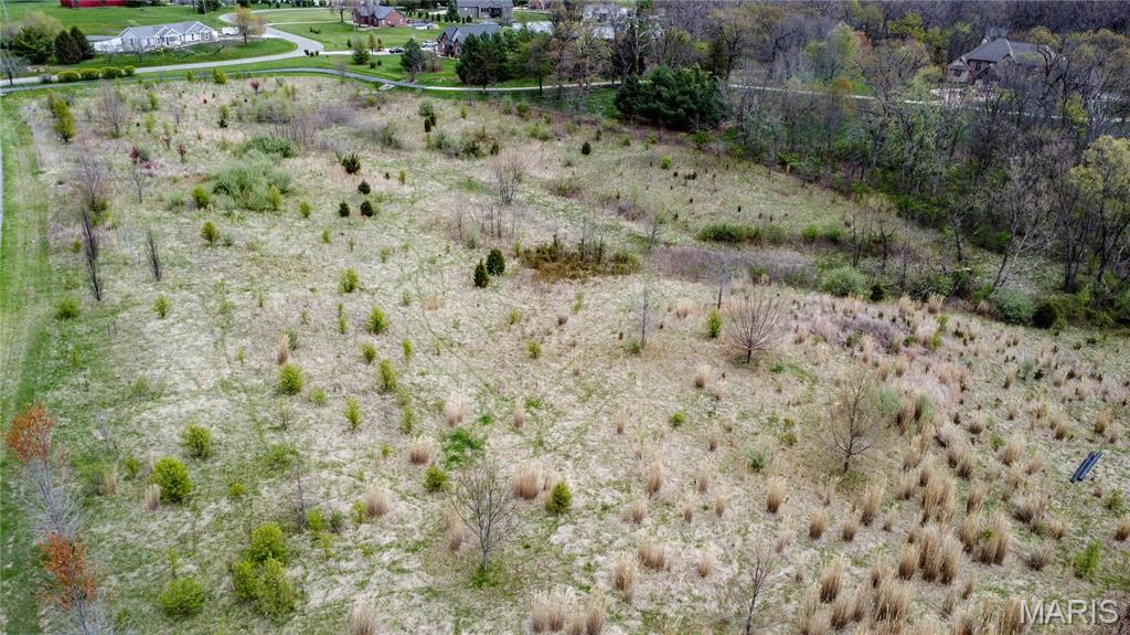 0 Lageman Lane Brighton, IL 62012 - Photo 7 of 12