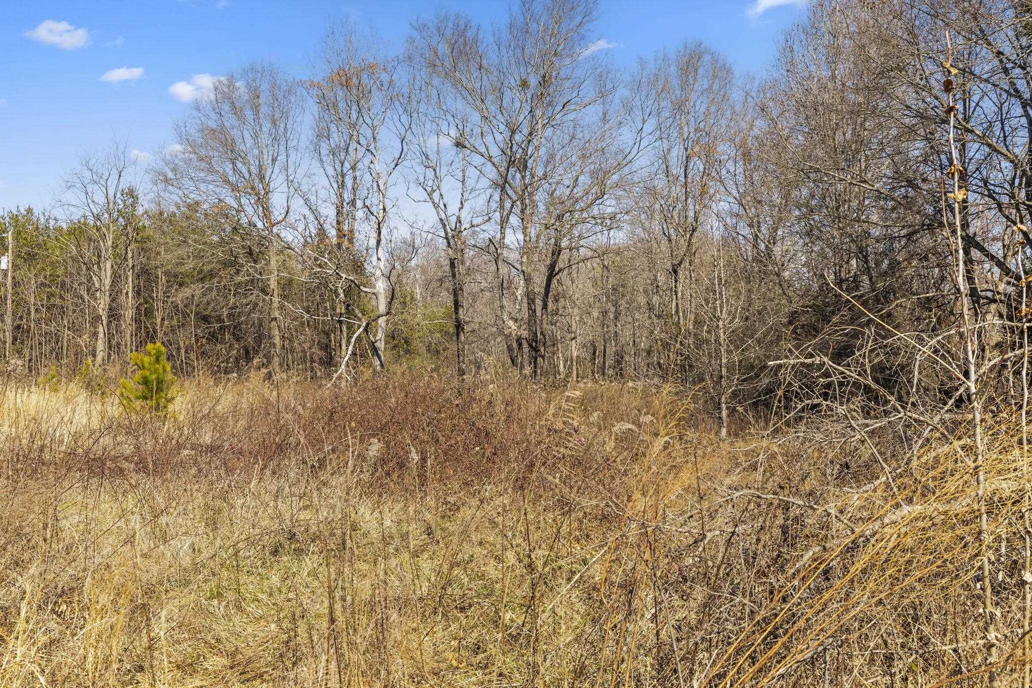 6002 Highway 11 Inman, SC 29349 - Photo 7 of 15