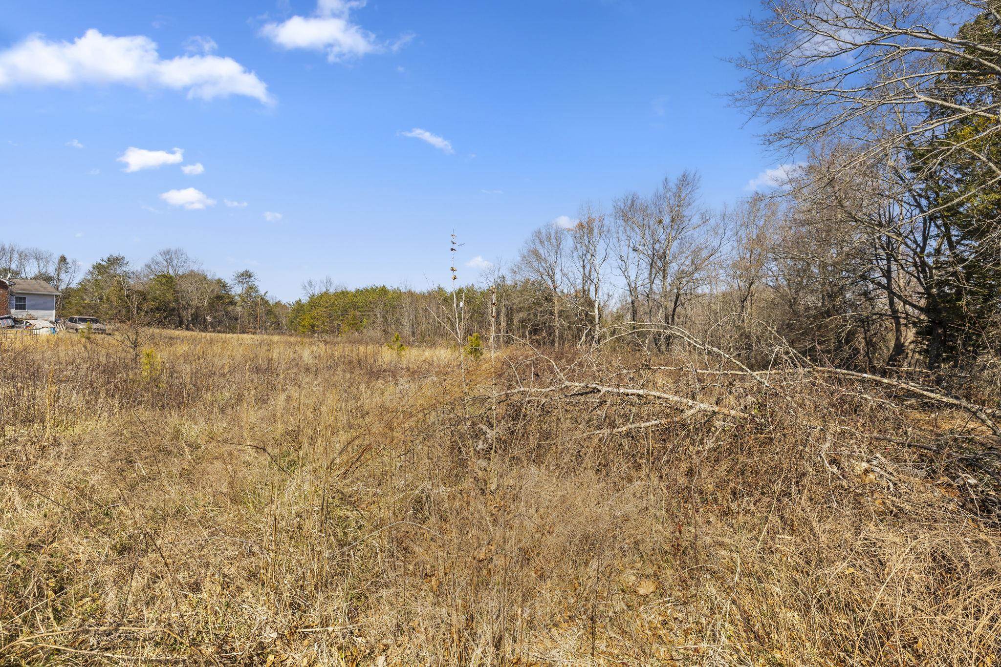 6002 Highway 11 Inman, SC 29349 - Photo 8 of 15