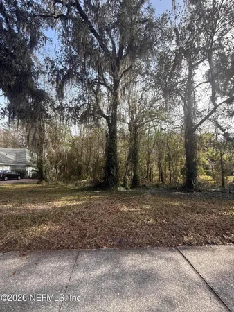 a view of a yard with trees