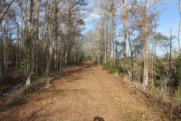 $292,000 | 0 Hampton Avenue, Blackville, SC 29817