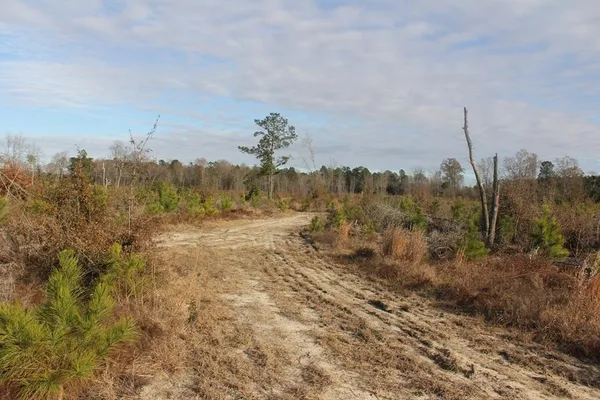 $292,000 | 0 Hampton Avenue, Blackville, SC 29817