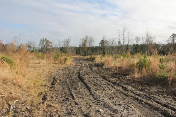 $292,000 | 0 Hampton Avenue, Blackville, SC 29817