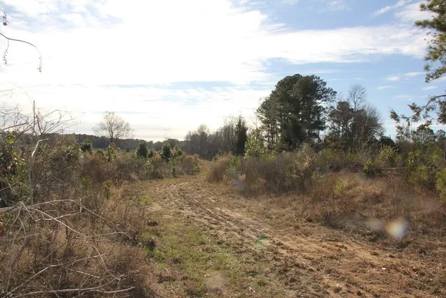 $292,000 | 0 Hampton Avenue, Blackville, SC 29817