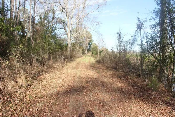 $292,000 | 0 Hampton Avenue, Blackville, SC 29817