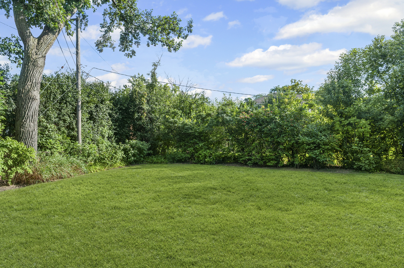 1128 Green Bay Road Glencoe, IL 60022 - Photo 24 of 28 a view of a green field with plants in the background