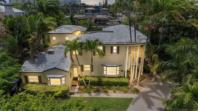 a aerial view of a house with a yard and potted plants