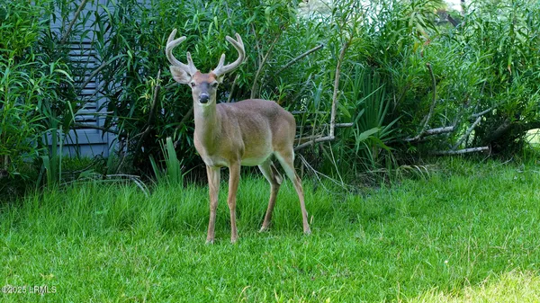 $697,000 | 416 Skimmer Cove, Fripp Island, SC 29920