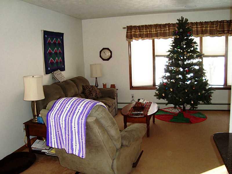 1219 Butler Pike Mercer, PA 16137 - Photo 15 of 25 Living Room.