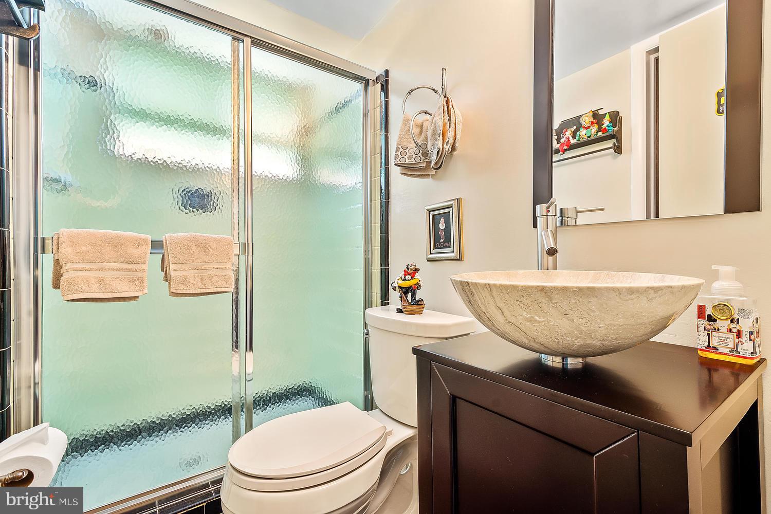 406 Neale Court Silver Spring, MD 20901 - Photo 19 of 26 Lower Level 1 Full Bath