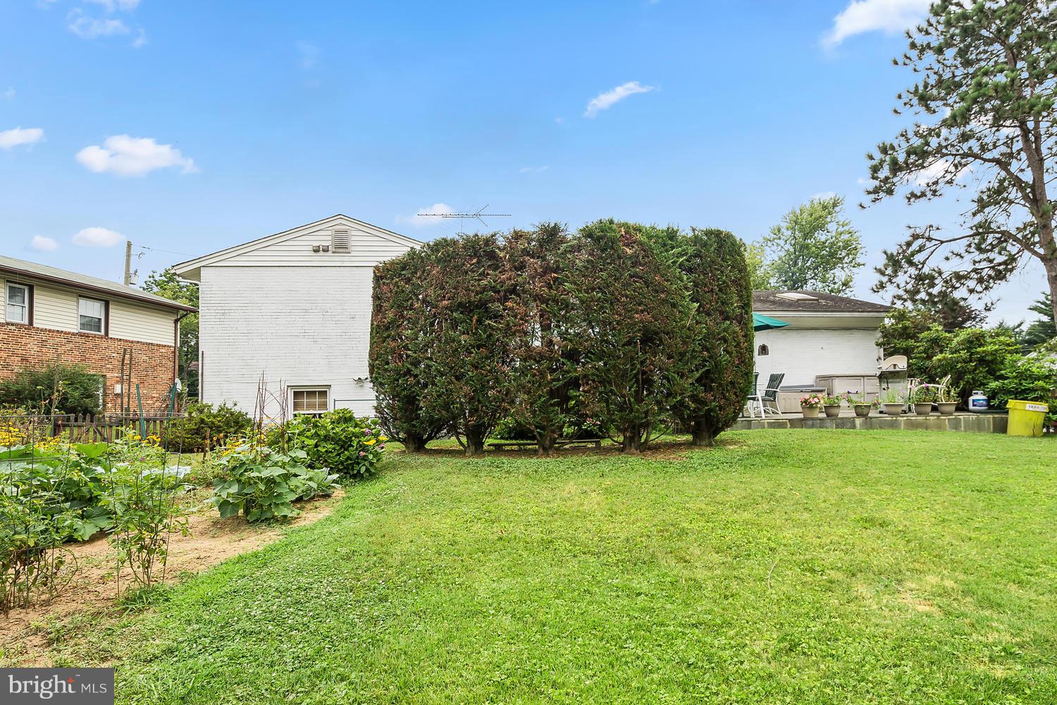 406 Neale Court Silver Spring, MD 20901 - Photo 24 of 26 Backyard