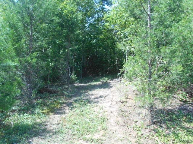 171 Swann Road Cumberland, VA 23040 - Photo 34 of 41 Gallery Image 34