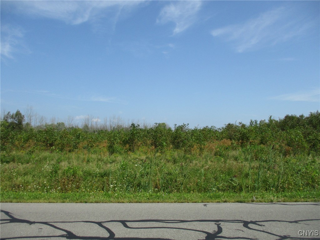 1 Hitchcock Point Road Bridgeport, NY 13030 - Photo 7 of 15