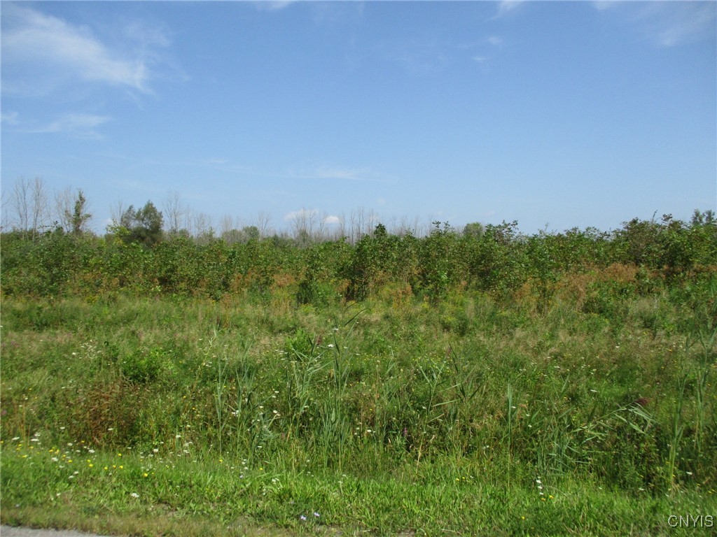 1 Hitchcock Point Road Bridgeport, NY 13030 - Photo 8 of 15