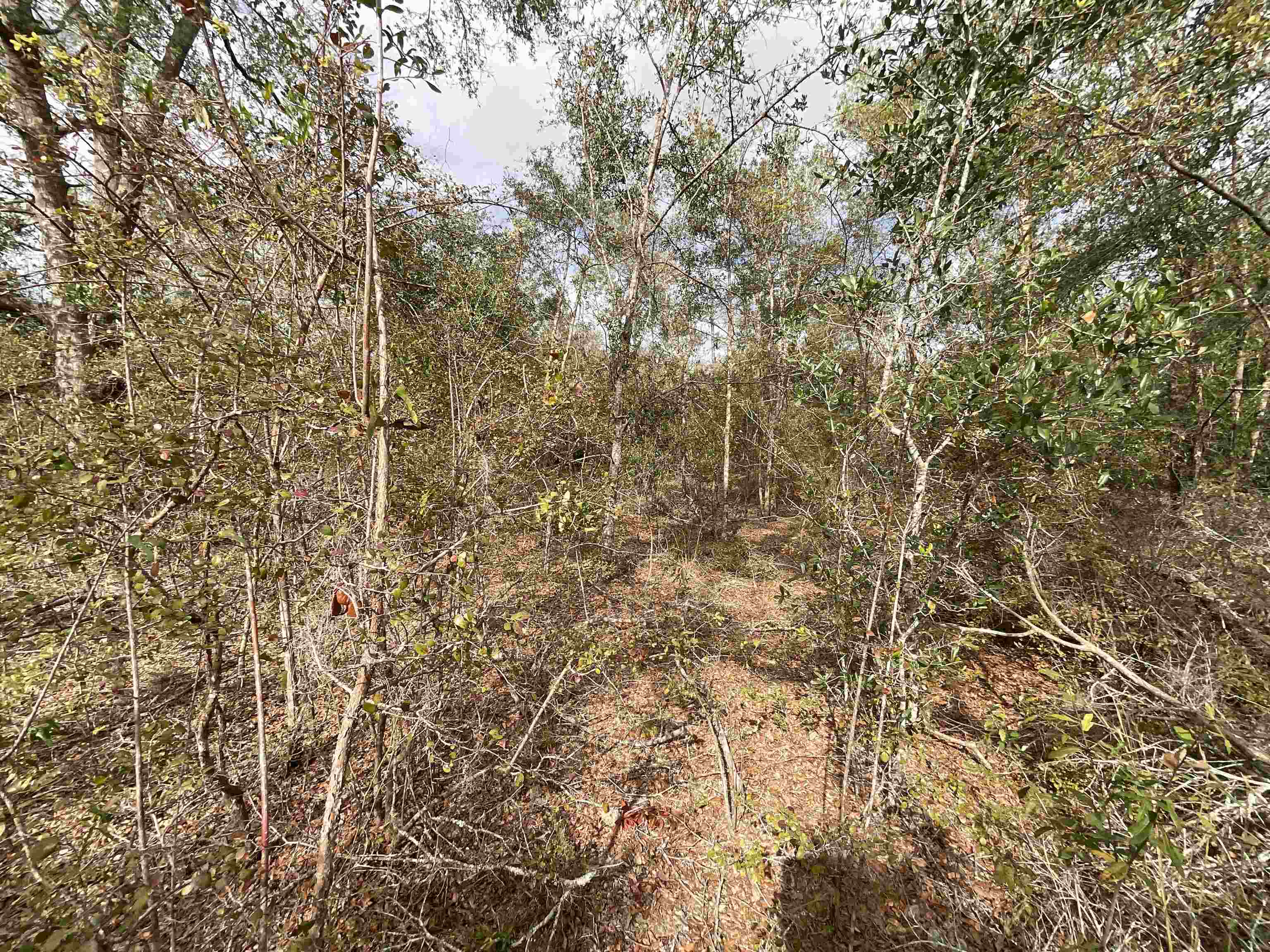 Vacant Southeast River Road Lee, FL 32059 - Photo 37 of 42 Gallery Image 37