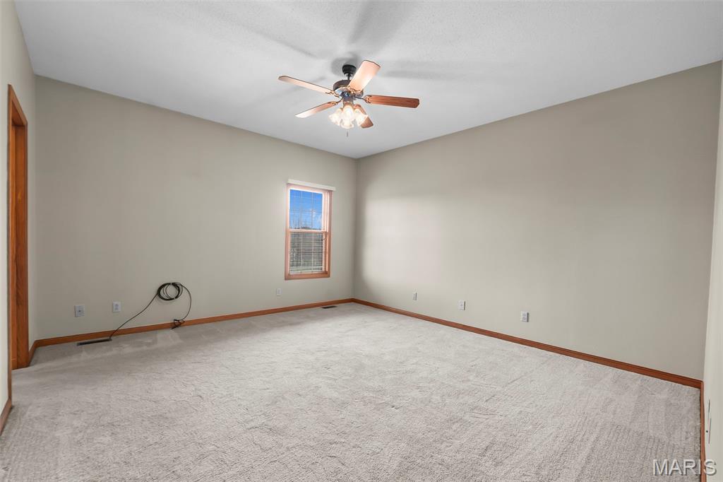 243 Eagle Ridge Lane Jackson, MO 63755 - Photo 20 of 33