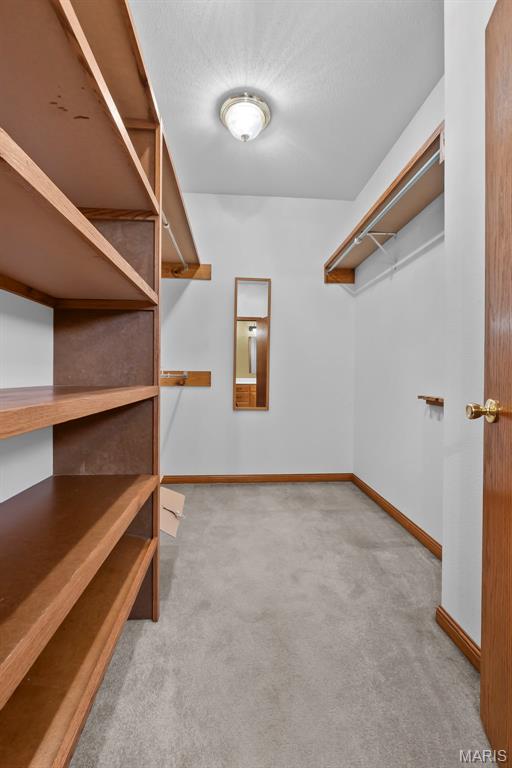 243 Eagle Ridge Lane Jackson, MO 63755 - Photo 26 of 33