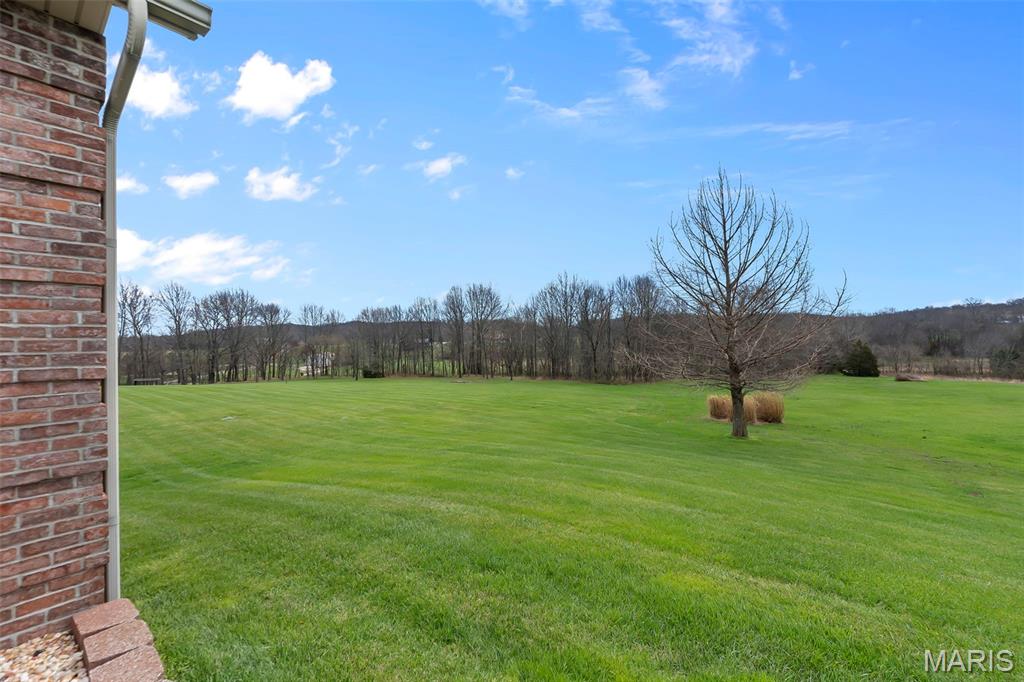 243 Eagle Ridge Lane Jackson, MO 63755 - Photo 9 of 33