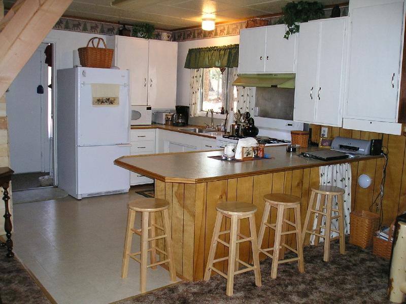 8725 McCumber Lk Road Shingletown, CA 96088 - Photo 2 of 10 Kitchen
