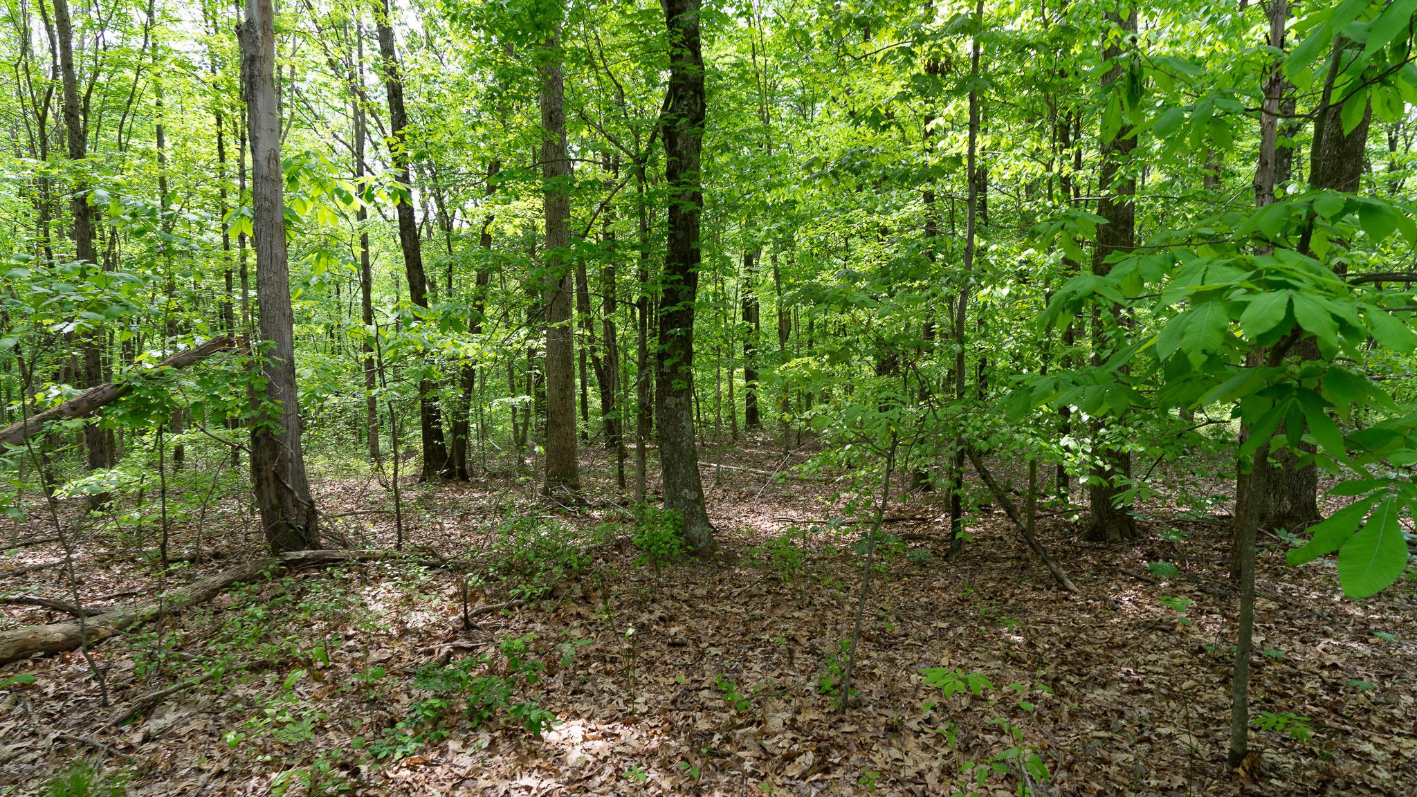 0 West Buckingham Road Logan, OH 43138 - Photo 12 of 16
