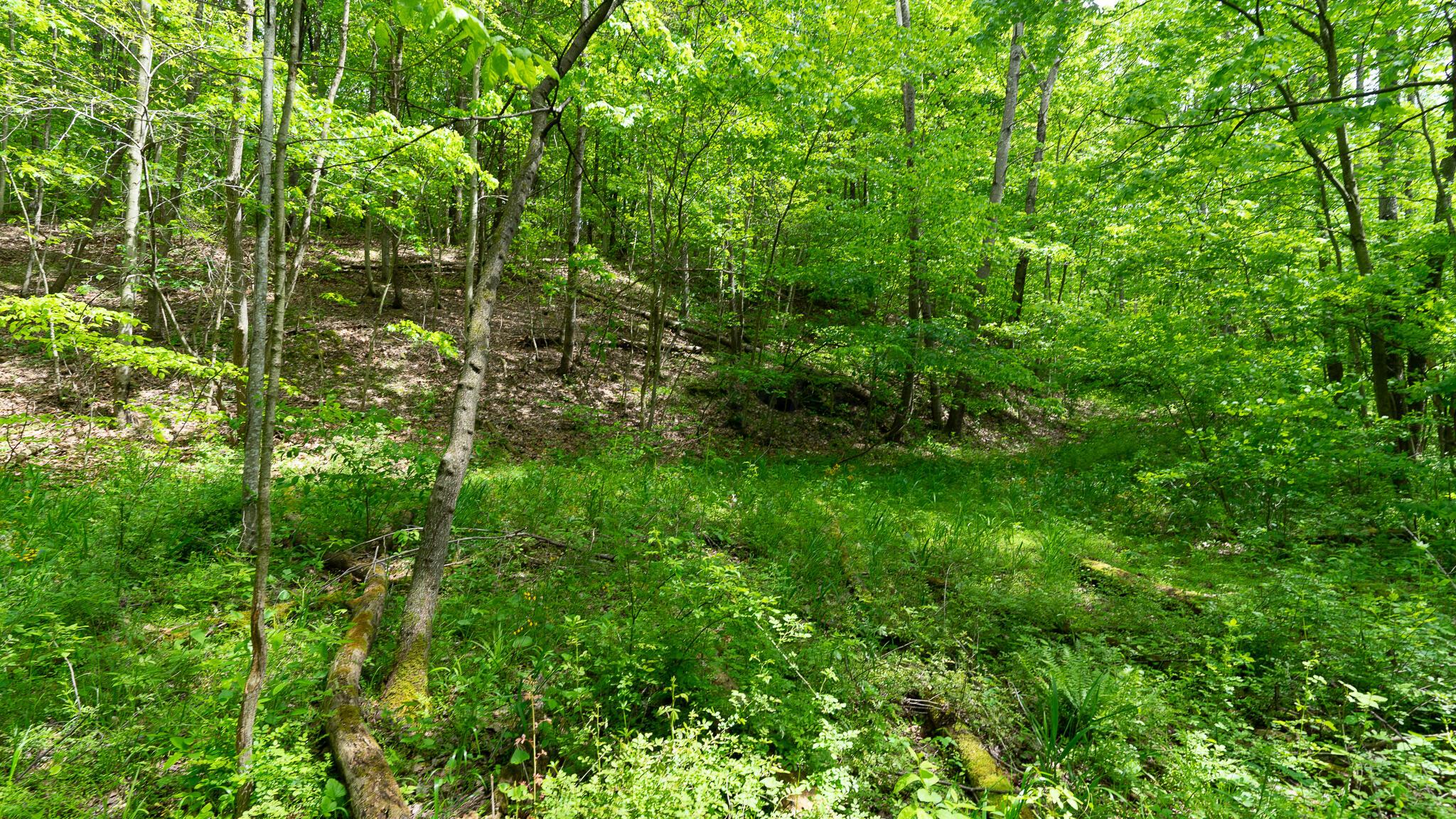 0 West Buckingham Road Logan, OH 43138 - Photo 3 of 16