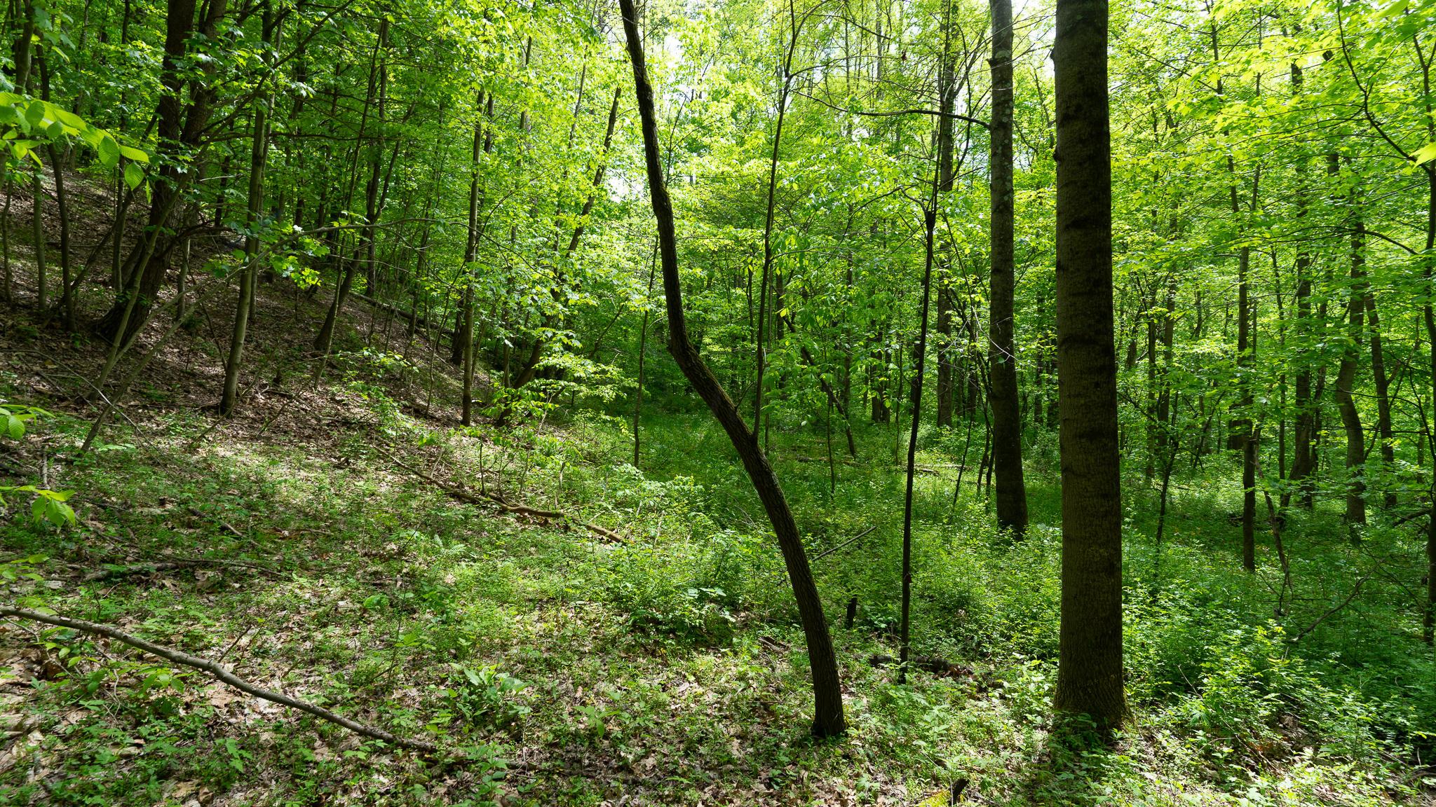 0 West Buckingham Road Logan, OH 43138 - Photo 4 of 16