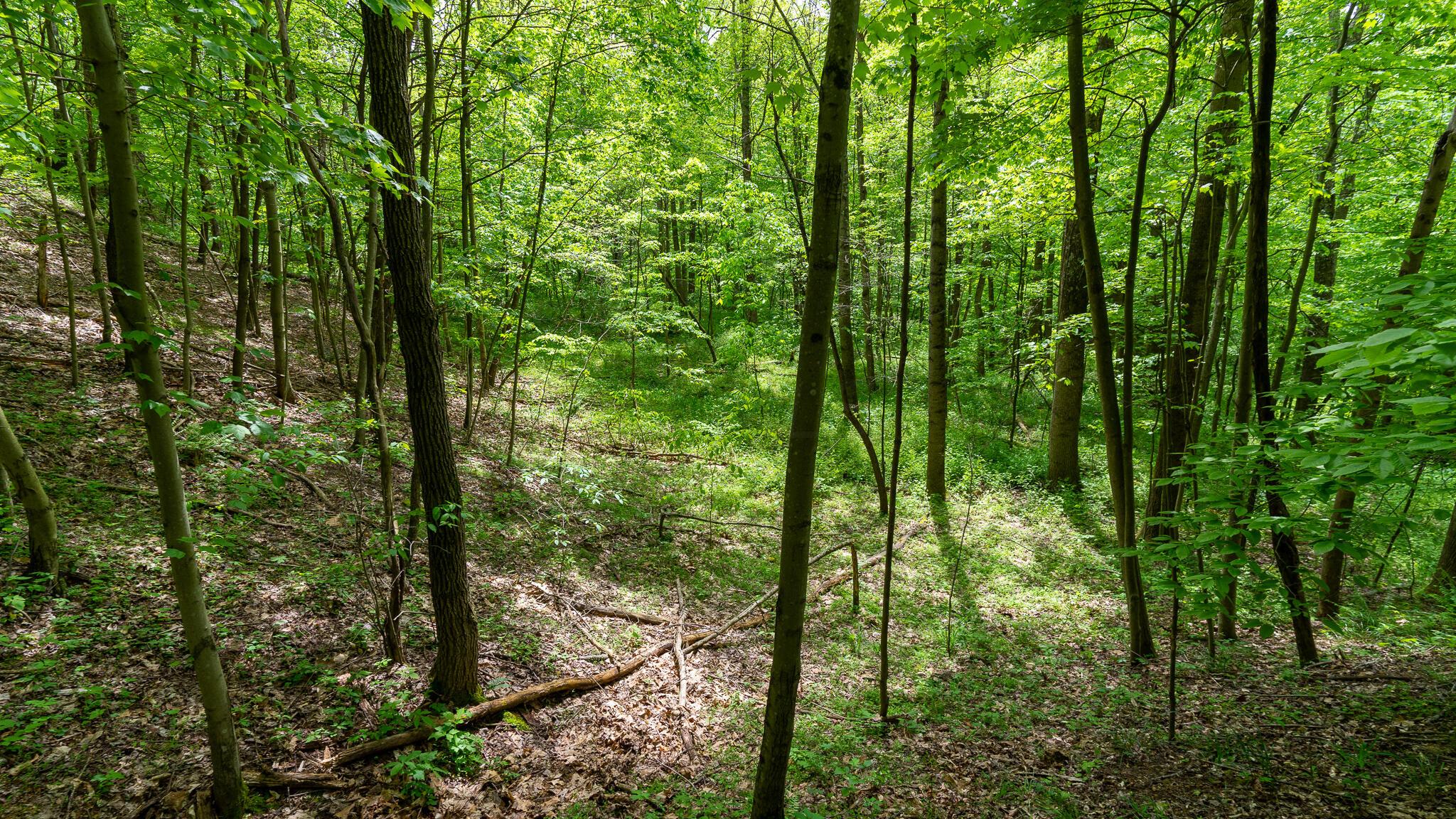 0 West Buckingham Road Logan, OH 43138 - Photo 5 of 16