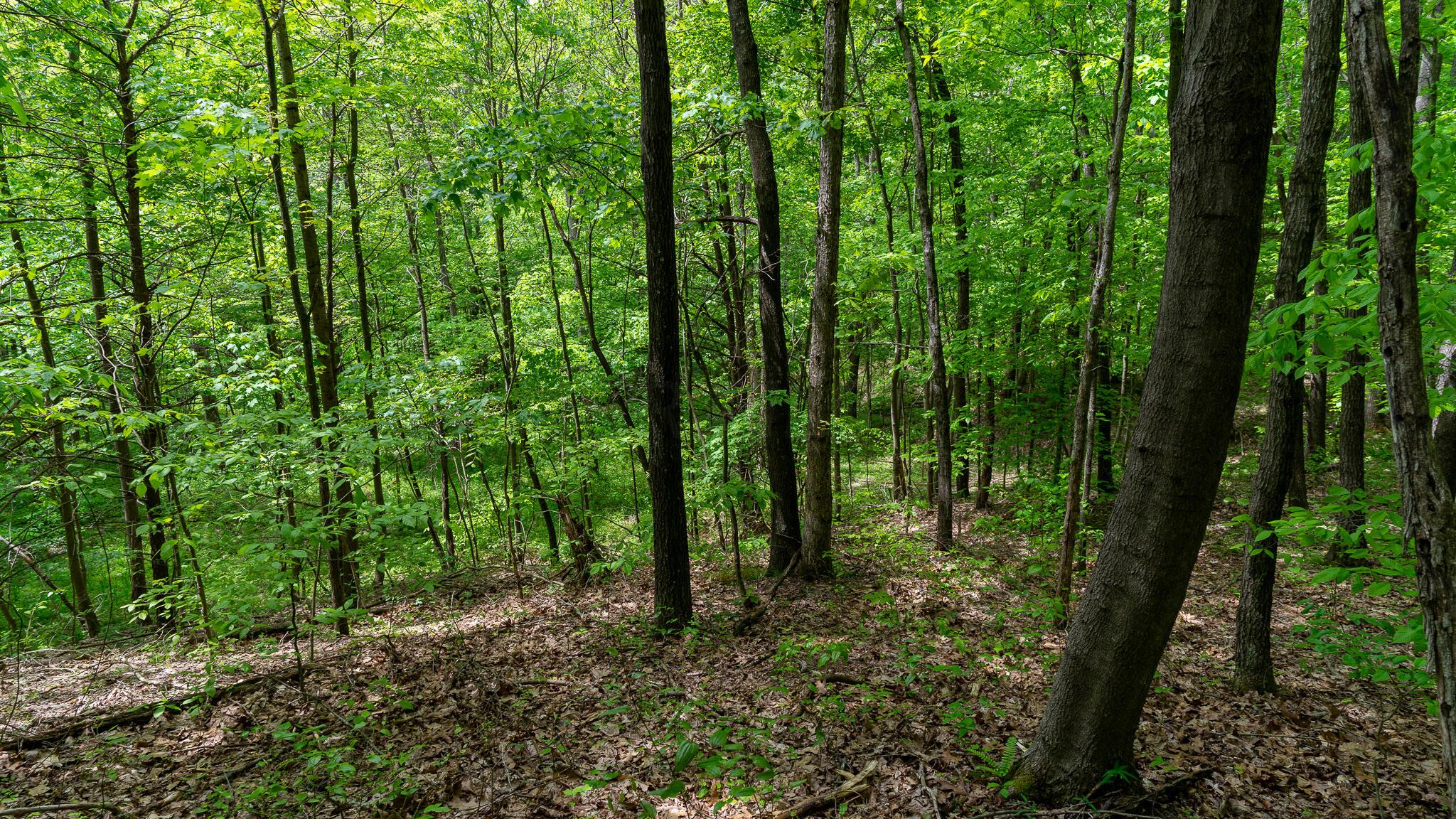 0 West Buckingham Road Logan, OH 43138 - Photo 8 of 16