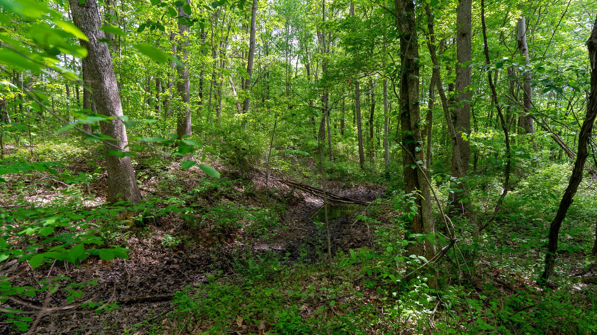 0 West Buckingham Road Logan, OH 43138 - Photo 9 of 16