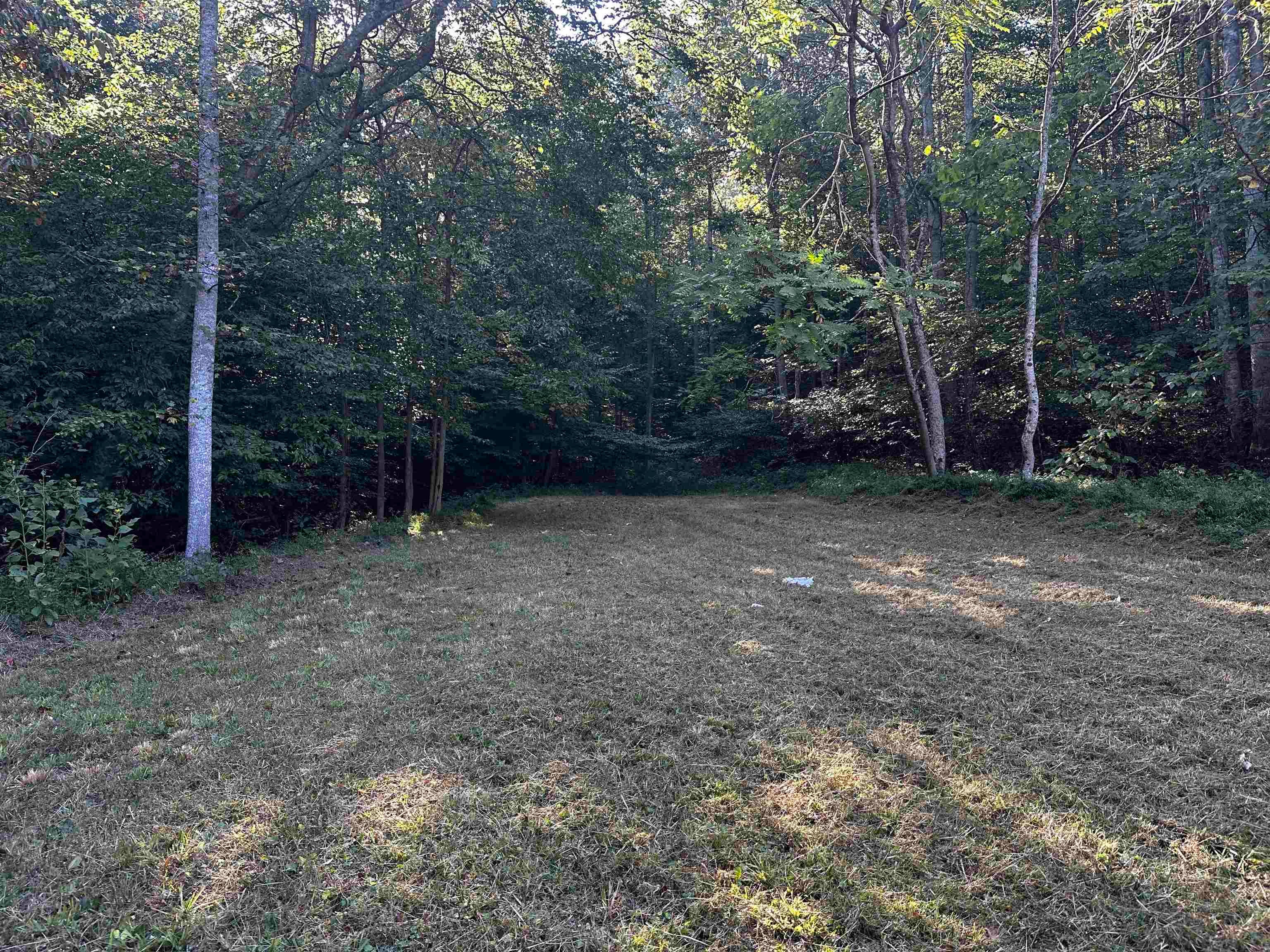 827 Big Sandy River Road Fort Gay, WV 25514 - Photo 2 of 5 Gallery Image 2