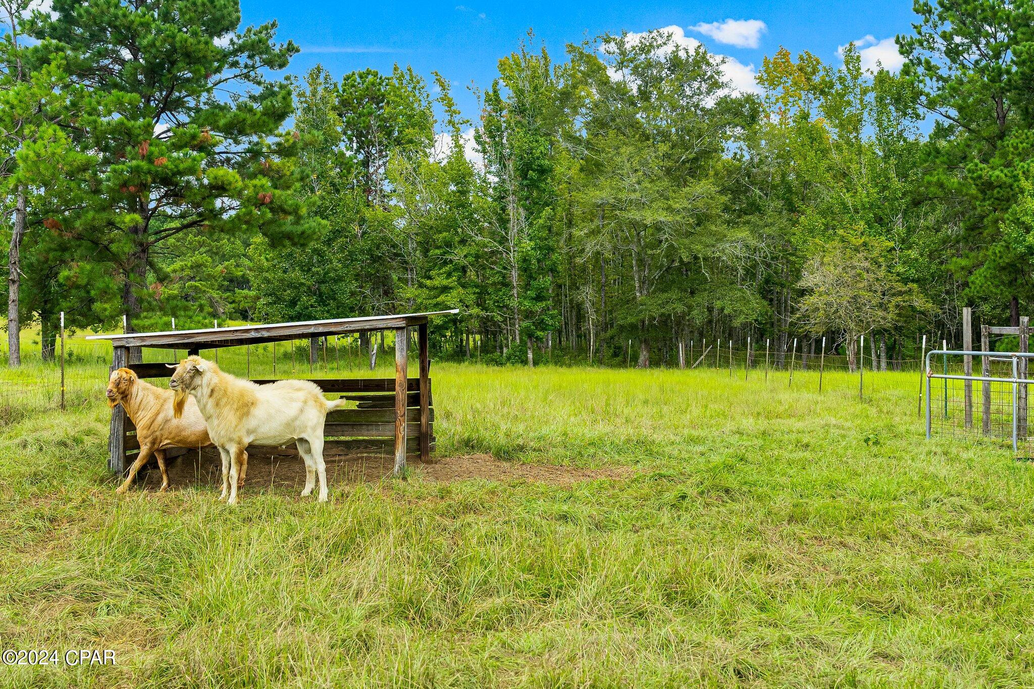 1432 Beaver Dam Road Bonifay, FL 32425 - Photo 88 of 104 Gallery Image 88