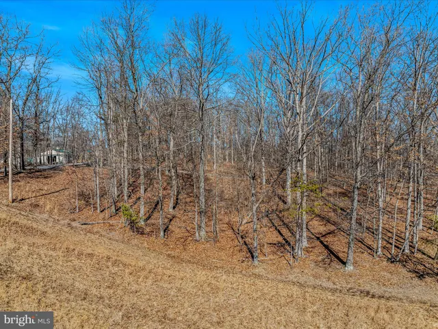 a view of pathway with yard