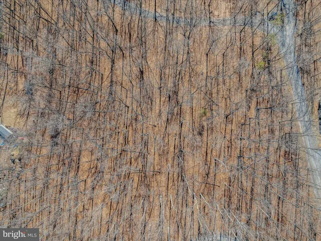 a view of a dry field