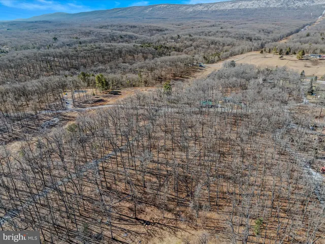 a view of a dry field