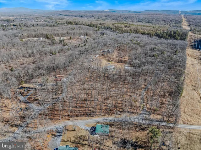 a view of a dry yard