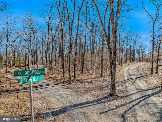 a view of a backyard of the house