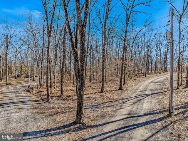 a view of a backyard with wooden fence