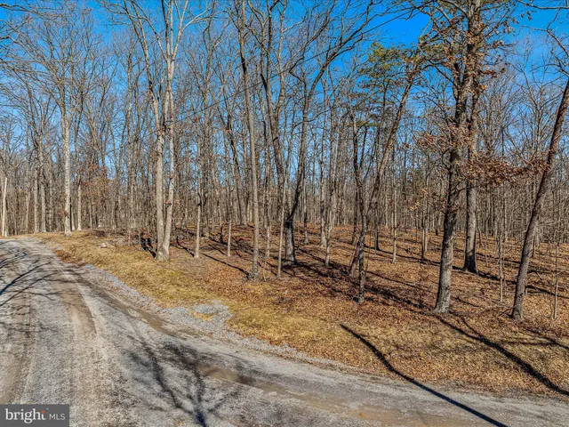 a view of outdoor space with wooden fence