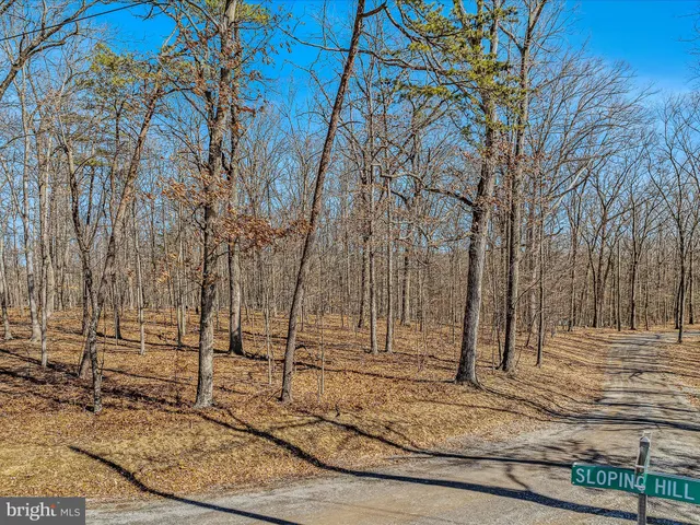 a view of a backyard of the house