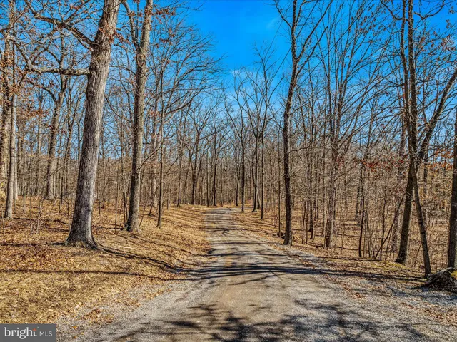 a view of a backyard of the house