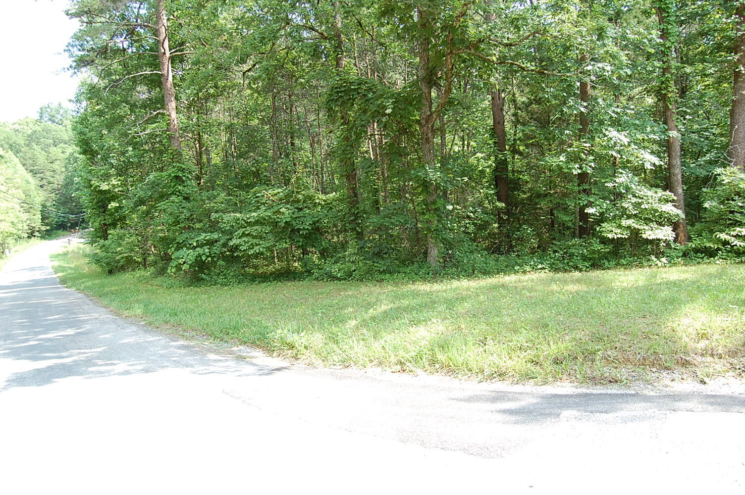57 Hugh Allison Road Pikeville, TN 37367 - Photo 3 of 28 DSC_0003 - Copy (2)