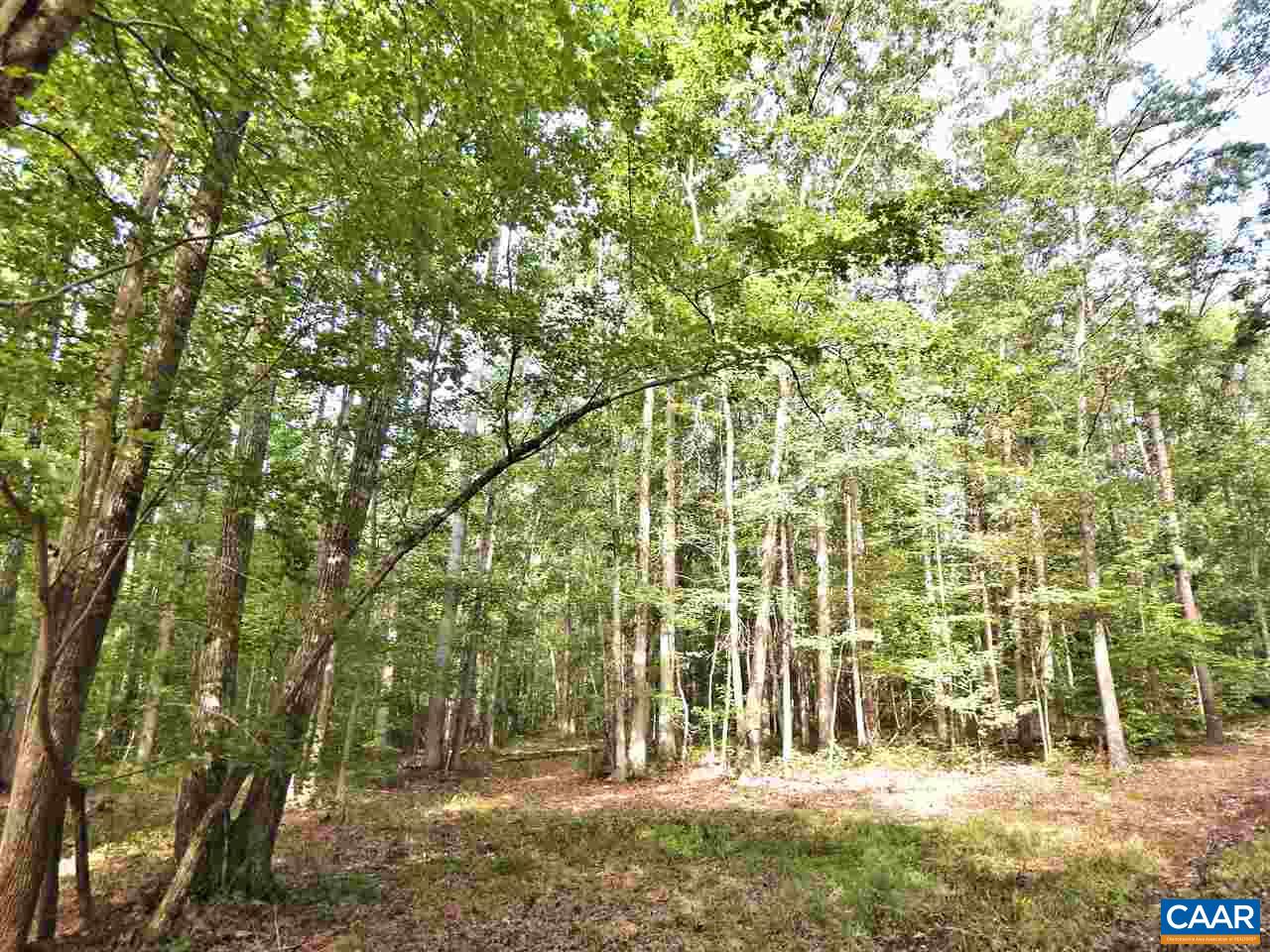 0 Deep Creek Road Palmyra, VA 22963 - Photo 5 of 10 Gallery Image 5